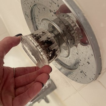 Oyster Point Hotel - Mold on the inside of the shower handle - Hotels Near Me - Red Bank, New Jersey Oyster Point Hotel - Mold on the inside of the shower handle - Hotels Near Me - Red Bank, New Jersey