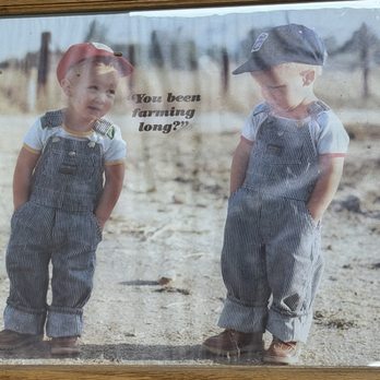 Triple A Farms - Nurseries & Gardening Near Me - Rockvale, Tennessee Triple A Farms - Nurseries & Gardening Near Me - Rockvale, Tennessee