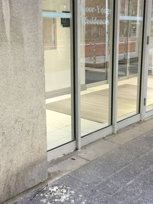 Bloor-Yonge Residences by null
