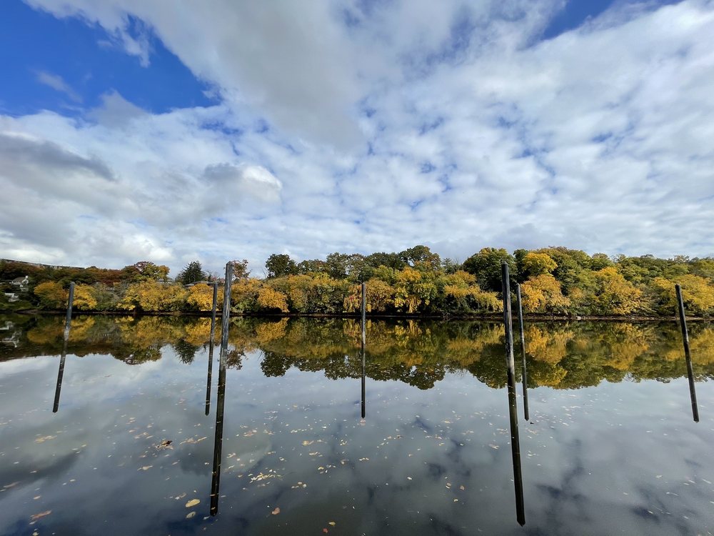 Highland Park Borough - social services organization in Highland Park, NJ