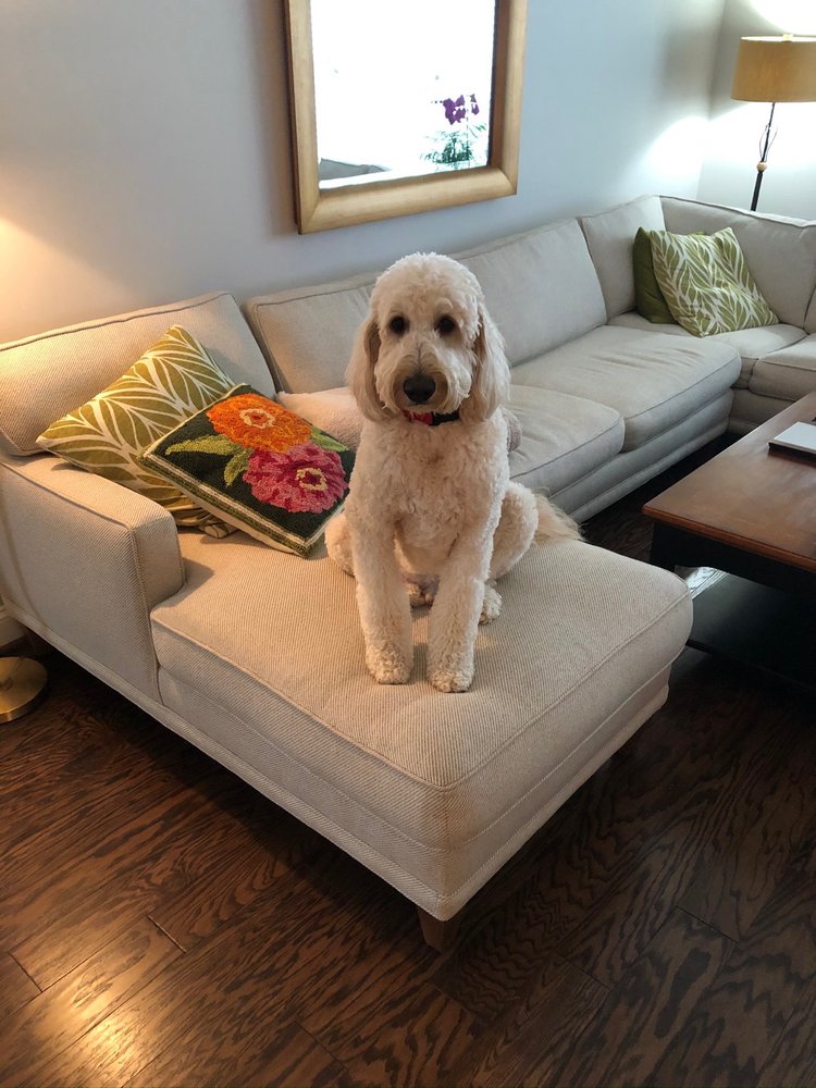 o Jupiter Florida Real Estate For Sale