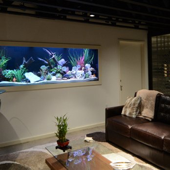 Aquarium Service Professionals - Aquarium Services Near Me Aquarium Service Professionals - Aquarium Services Near Me