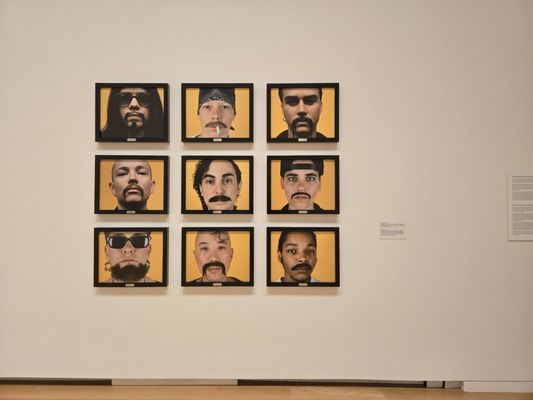 Modern Art Museum of Fort Worth by null