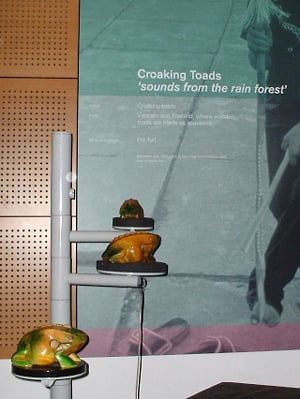 Horniman Museum and Gardens by null