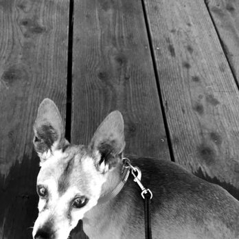 Groundwork Coffee - Dog friendly, outside seating - Coffee & Tea Near Me - Los Angeles, California