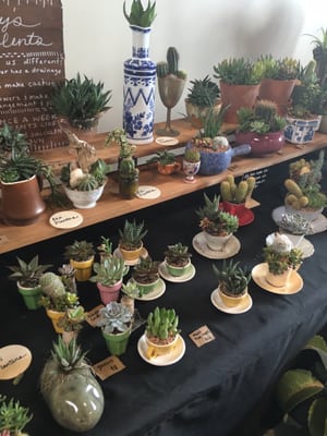 Morean Center for Clay by null