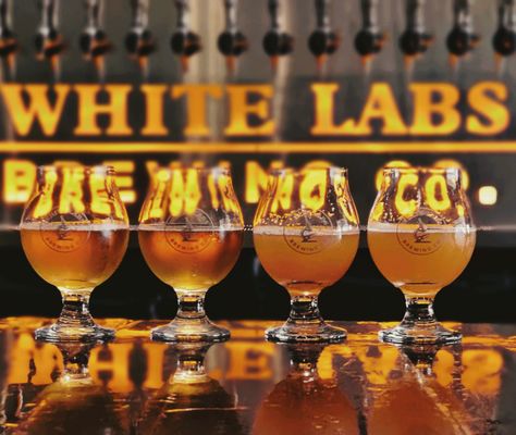 White Labs Brewing Co - San Diego by null