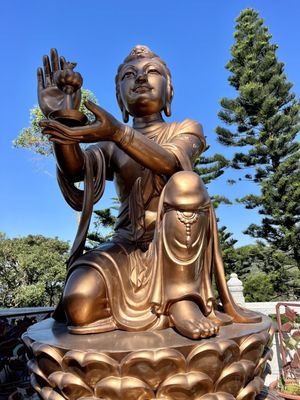 This Is Asia Tours by null