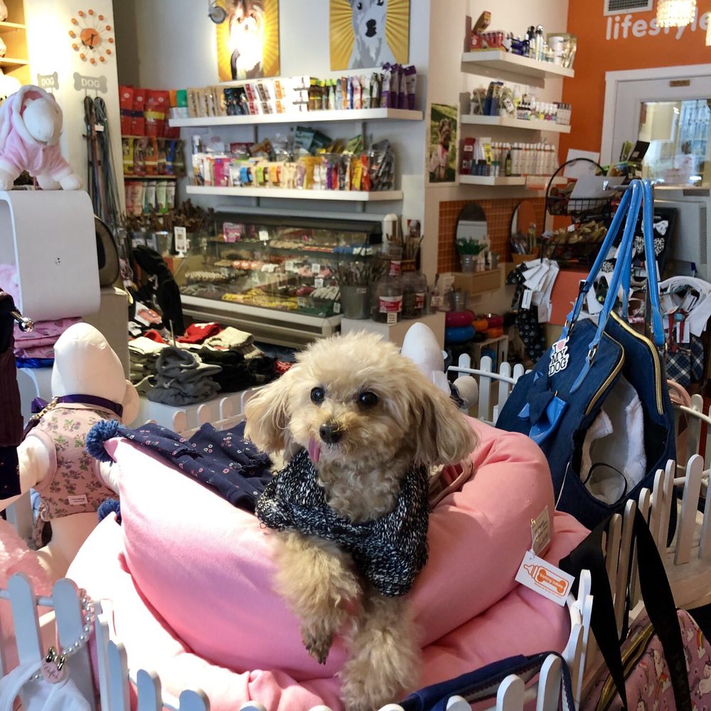 Barking Babies - Store - Pet Stores Near Me - Vancouver, British Columbia Barking Babies - Store - Pet Stores Near Me - Vancouver, British Columbia