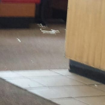 Pizza Hut - Restaurant is always filthy. - Pizza Near Me - Alpine, Texas Pizza Hut - Restaurant is always filthy. - Pizza Near Me - Alpine, Texas
