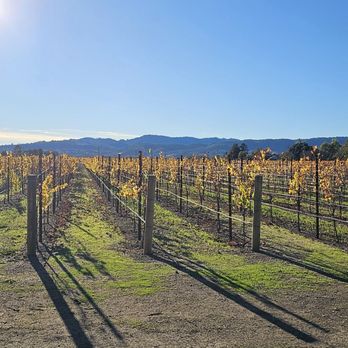 Monticello Vineyards - Wineries Near Me - Napa, California Monticello Vineyards - Wineries Near Me - Napa, California