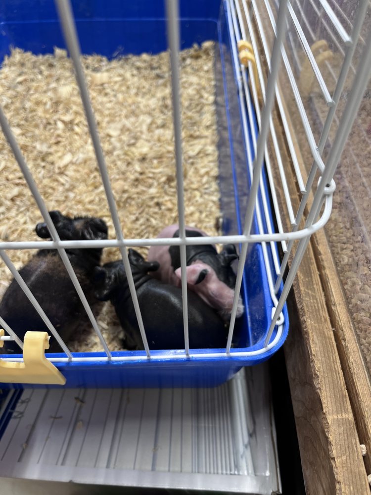 NATURE’S BEST PET SHOP & GROOMING Updated October 2024 555 E Elm St