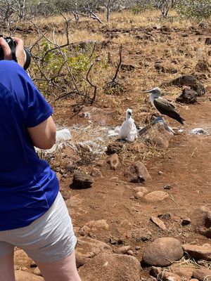 ANDILAND ADVENTURES - Updated January 2026 - 28 Photos - Plains