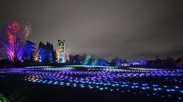 Chicago Botanic Garden by null