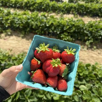 Terhune Orchards - Fruits & Veggies Near Me - Princeton, New Jersey Terhune Orchards - Fruits & Veggies Near Me - Princeton, New Jersey