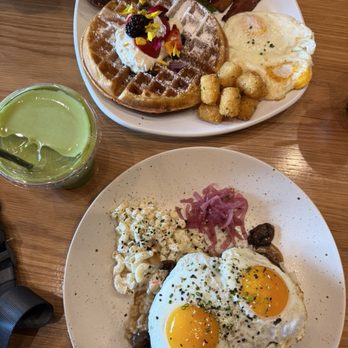 Bluberry Social - Breakfast & Brunch Near Me - Irvine, California