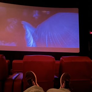 AMC DUBLIN VILLAGE 18 - 54 Photos & 118 Reviews - 6700 Village Parkway