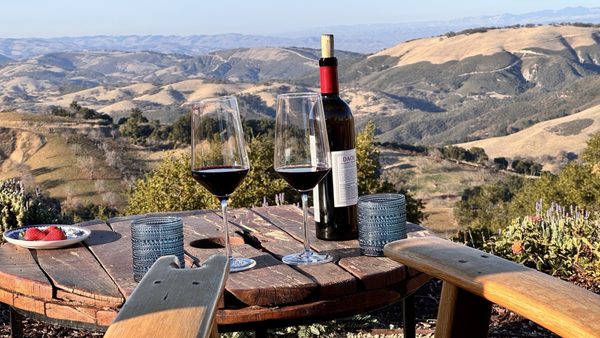 DAOU Vineyards by null