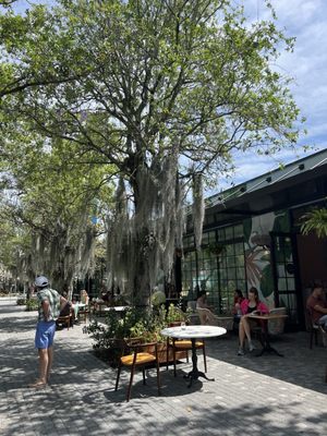 Oasis Wynwood by null