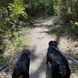 Walking along a path with my dogs