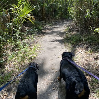 Highlands Hammock State Park - Walking along a path with my dogs - Parks Near Me - Sebring, Florida