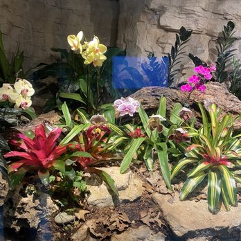 San Antonio Botanical Garden - Botanical Gardens Near Me - San Antonio, Texas