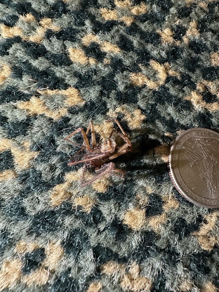 Red Lion Hotel Bellevue