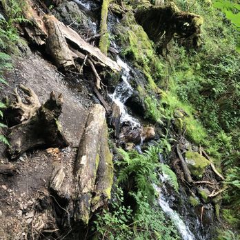 Moran State Park - Cavern Falls - Parks Near Me - Orcas, Washington