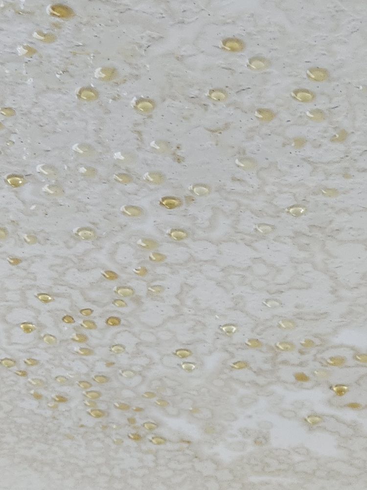 Slide of Green Day Power