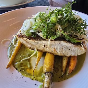 Latitud 32 - Forgot what fish, but it was a meatier version of sea bass. - Steakhouses Near Me - Ensenada, BCN Latitud 32 - Forgot what fish, but it was a meatier version of sea bass. - Steakhouses Near Me - Ensenada, BCN