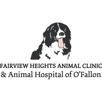 Animal Hospital of O'Fallon - Veterinarians Near Me - O'Fallon, Illinois Animal Hospital of O'Fallon - Veterinarians Near Me - O'Fallon, Illinois