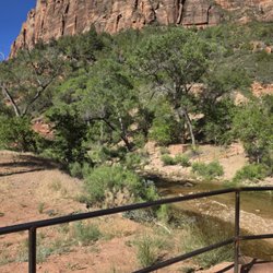 Zion Canyon Scenic Drive - Zion Canyon Scenic Drive
