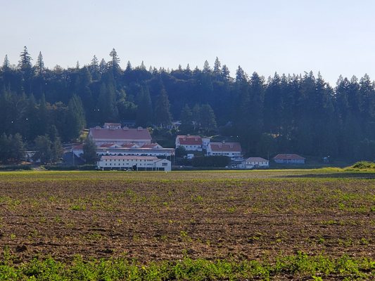 Carnation Farms by null