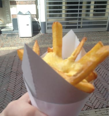 De Haerlemsche Vlaamse by null