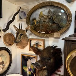 Mudlark Oddities
