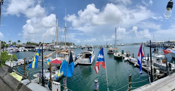 Schooner Wharf Bar by null