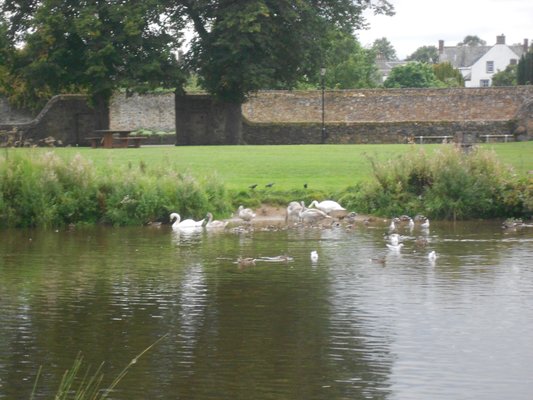 The Waterside Bistro in Haddington by null