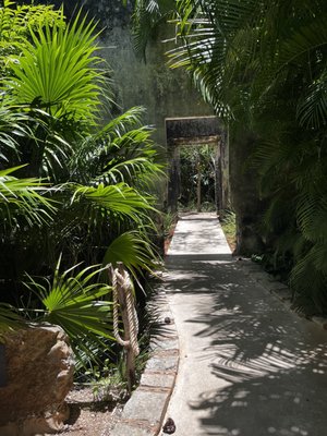 Chablé Yucatán by null