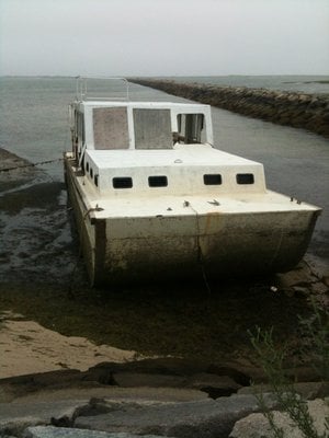 Long Point Beach by null