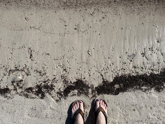 Curry Hammock State Park by null