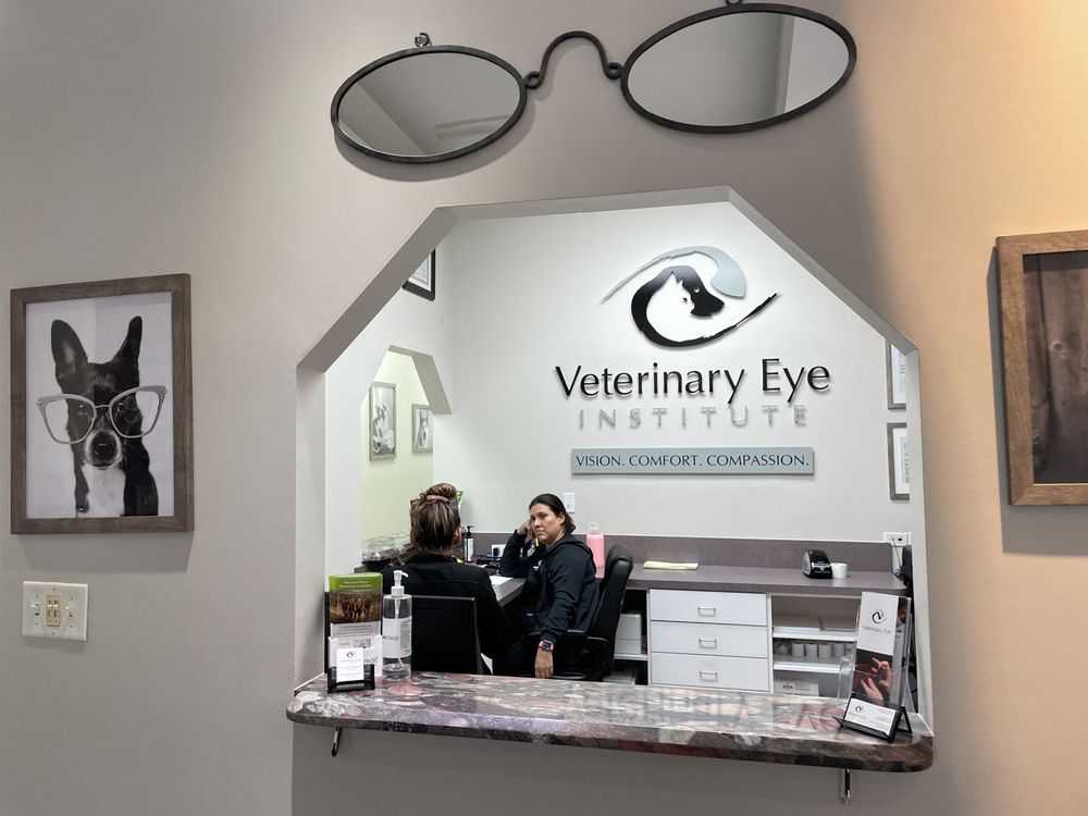 VETERINARY EYE INSTITUTE DEERFIELD BEACH 20 Photos & 35 Reviews 372 S Powerline Rd