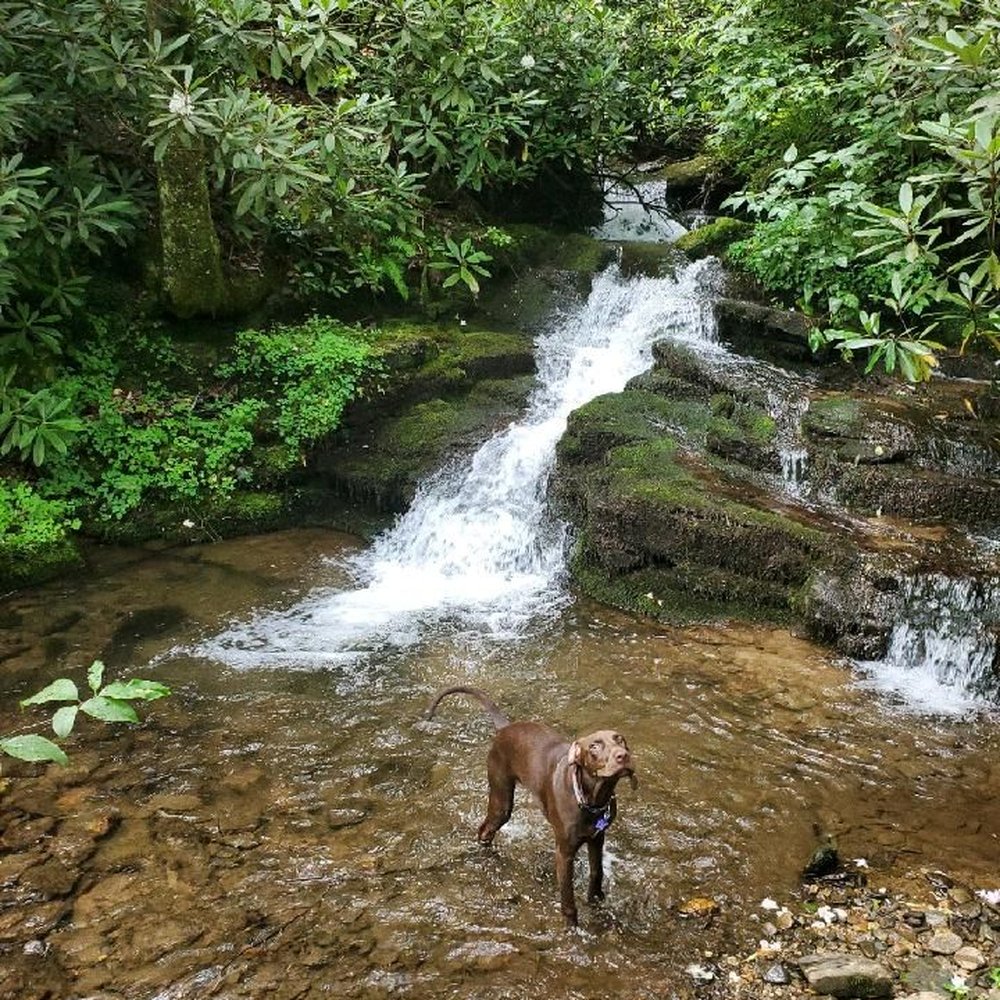 Enota - One of the waterfalls - Campgrounds Near Me - Hiawassee, Georgia