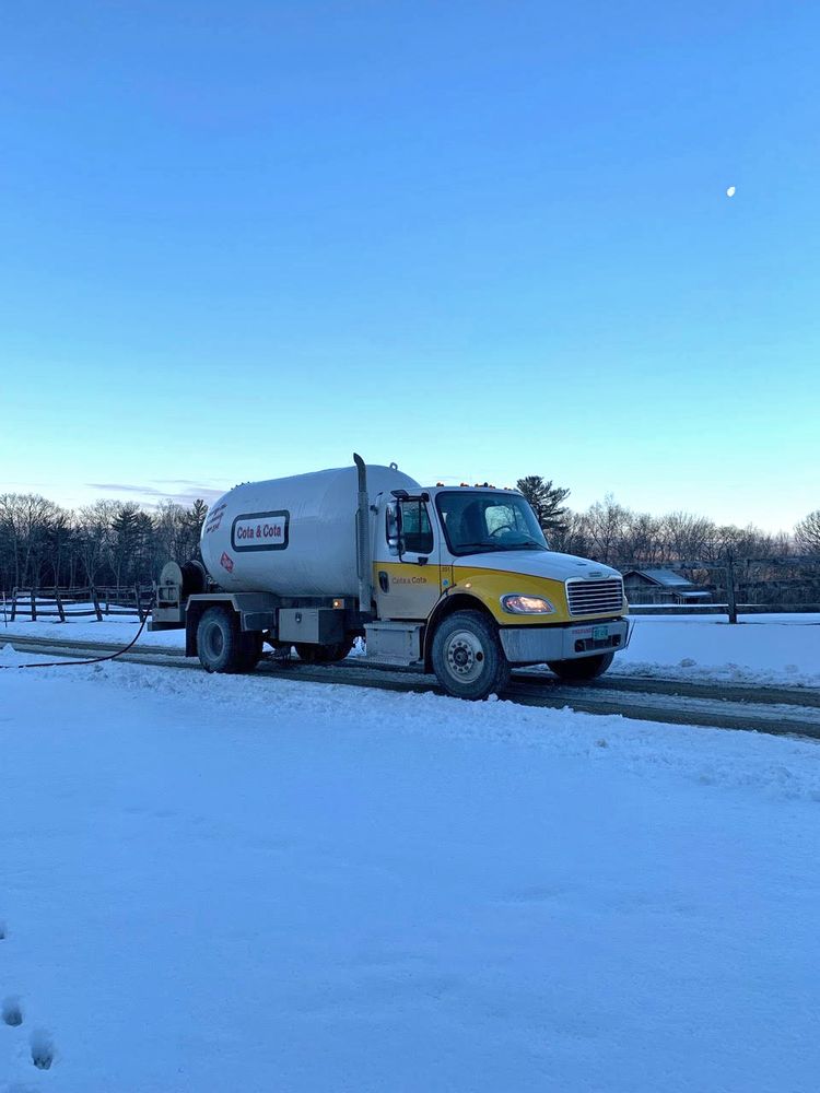 Slide of Cota & Cota