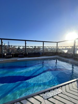 Gansevoort Rooftop by null