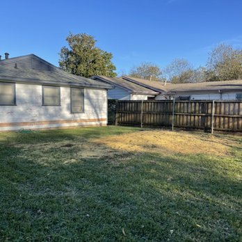Godoy’s Wolves Tree Service & Landscape - Tree Services Near Me