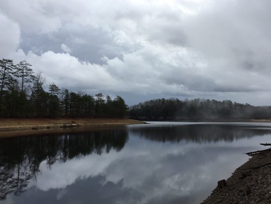 Daniel Boone National Forest by null