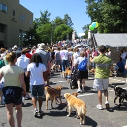 APS 5K Walk for the Animals