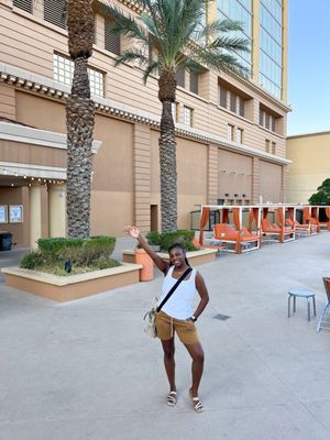 Suncoast Hotel and Casino by null