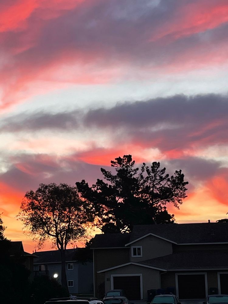 ADAM AUTO GLASS FOR LESS Updated August 2024 206 Photos Marina