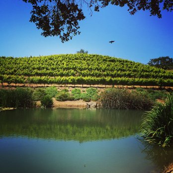 Wine Canyon Tours - Wine Tours Near Me - Santa Barbara, California Wine Canyon Tours - Wine Tours Near Me - Santa Barbara, California